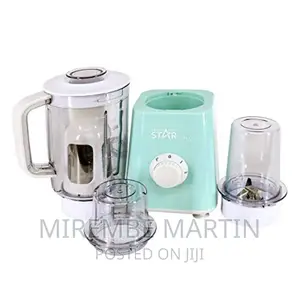 Winning Star 3 in 1 Blender ST -5501