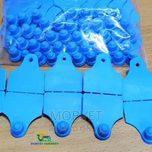 Double Eartags Blue Plain