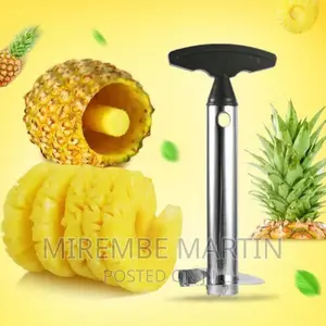 Stainless Steel Pineapple Peeler Cutter – Silver, Black