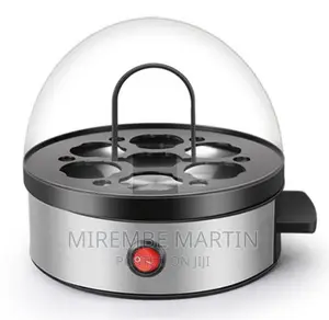 Electric Egg Boiler