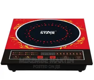STAR 2200W High Temperature Resistant Portable Cooker