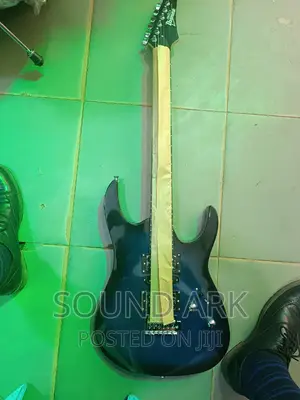 Electric Guitar / Solo Guitar