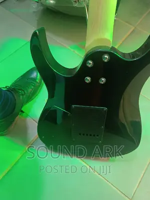 Electric Guitar / Solo Guitar
