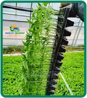 Seedling  Trays Uganda