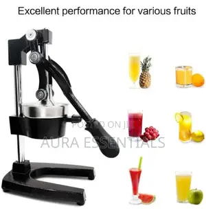 Professional Hand Press Manual Fruit Juicer