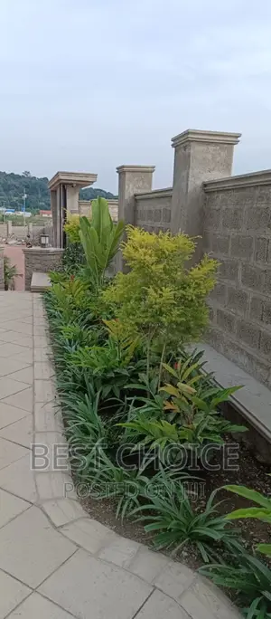 Landscaping Services With Exquisite Plants Arrangement.