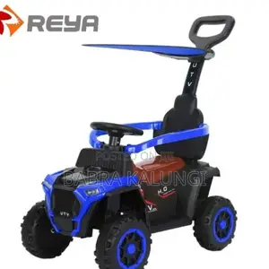 Kids Push Car