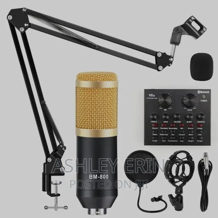 Condenser Microphone