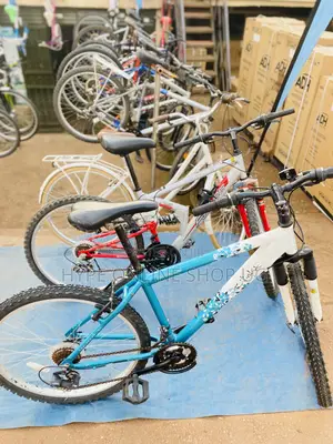 Kids and Adult Bicycles of All Ages