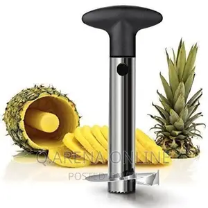 Stainless Steel Pineapple Peeler and Slicer - Color May Vary