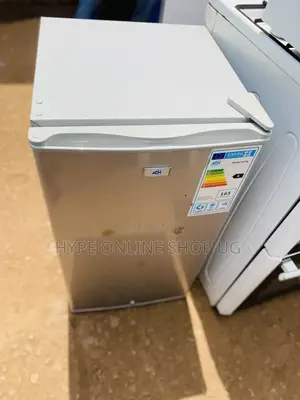 Luxurious Freezing Home Fridge