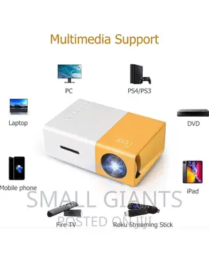 Meer Multimedia Support Mini Projector