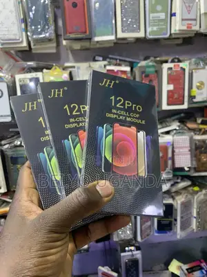 iPhone 12 Pro Screen