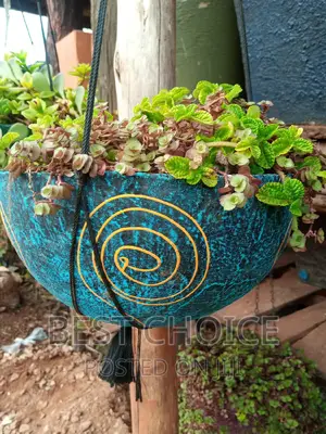 Creating Beauty With Beautiful Concrete Planters and Plants