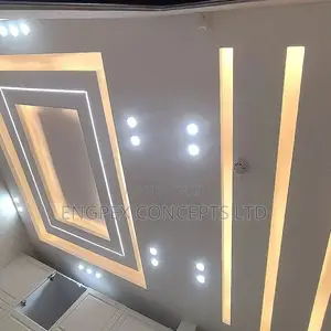 Max Ceiling Work