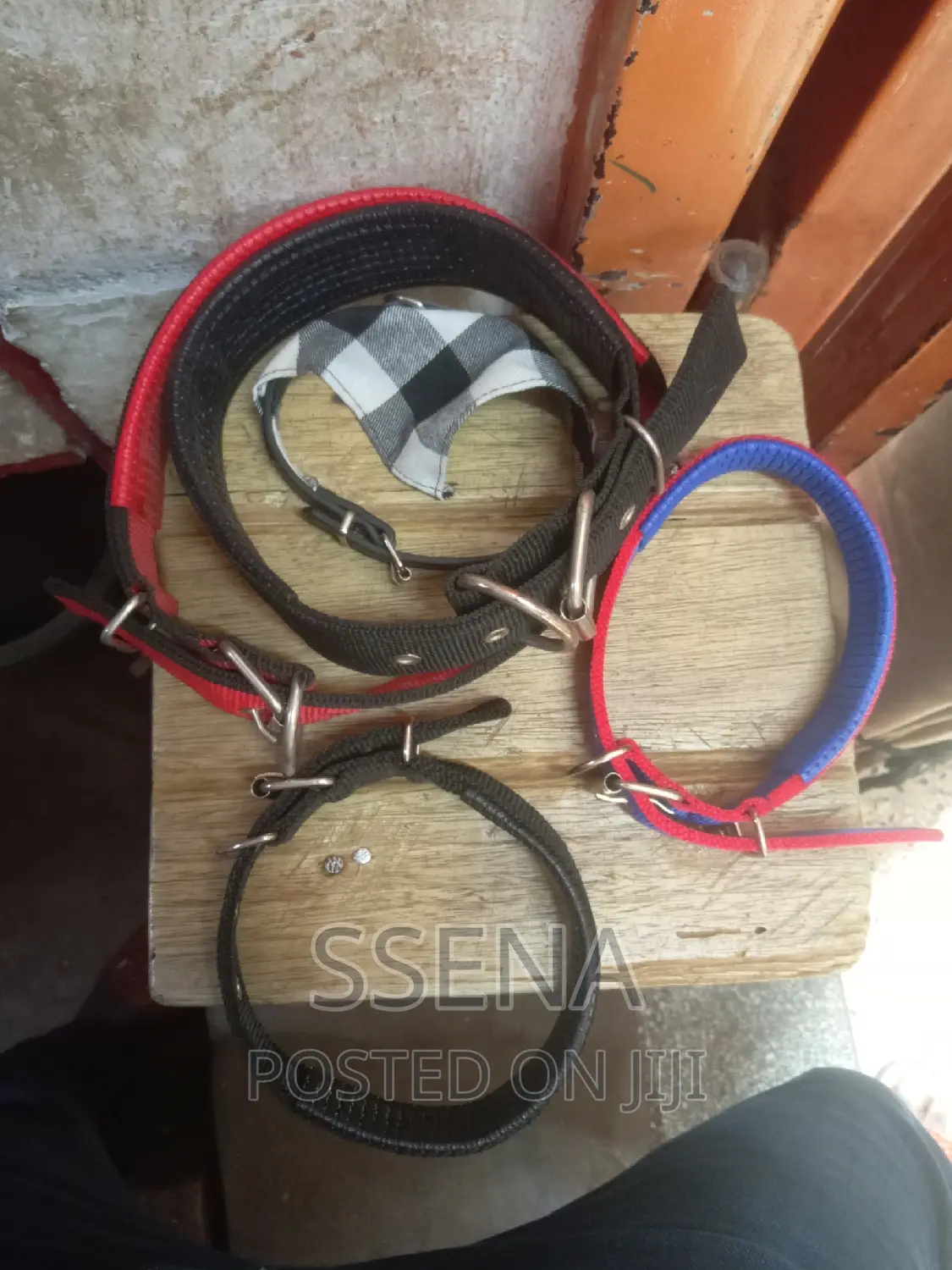 Dog Collars