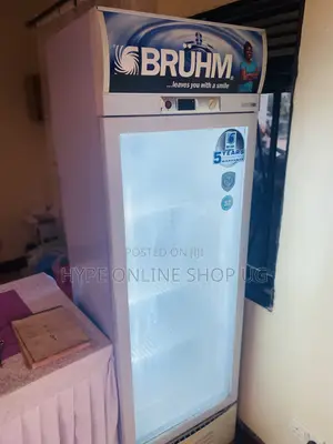 Golden Fridge Glass Cleaning and Other Repairs