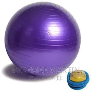 65cm Gym/Yoga Ball With Inflator – Multicolour