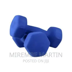 Other a Pair of Dumbbells – Blue Brand