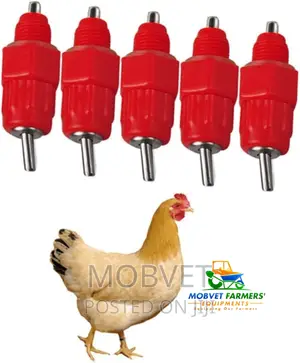 Red Chicken Drinkers