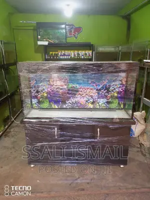 A Brand New Aquarium From Our Work Shop
