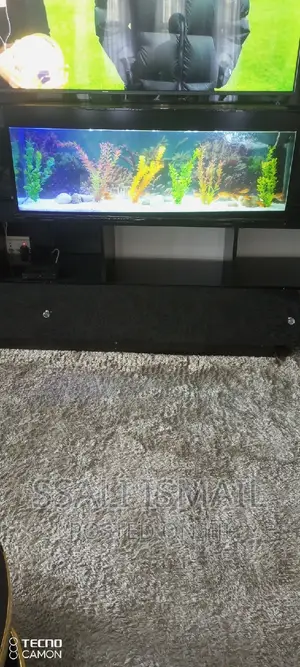 Simple and Neat Aquarium