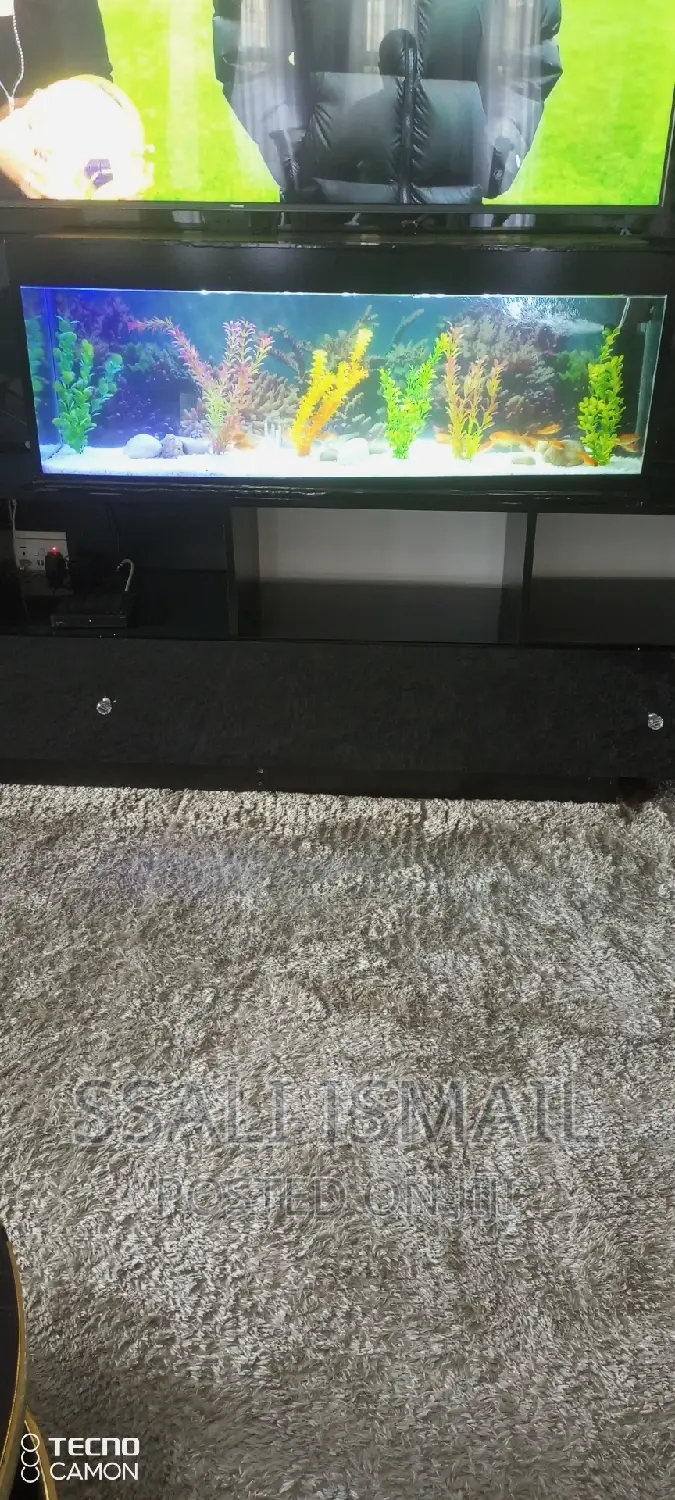 Simple and Neat Aquarium