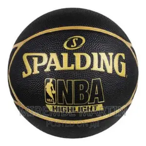 Spalding Basketball NBA Highlight