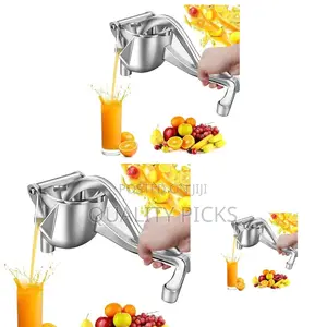 Steel Citrus Juicer Press