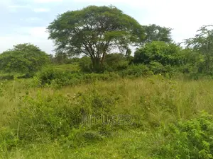 250 Acers Mile Land at Lukaya