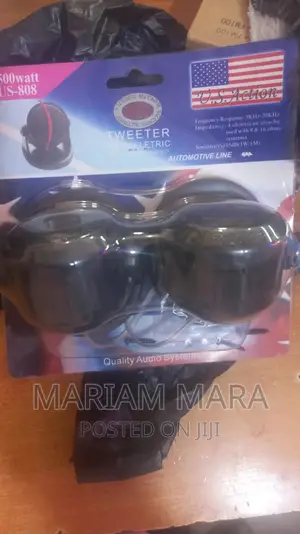 Tweeter /Portable Steroe Speakers