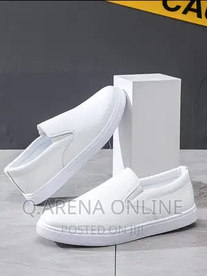 Minimalist Slip on Skate Shoes