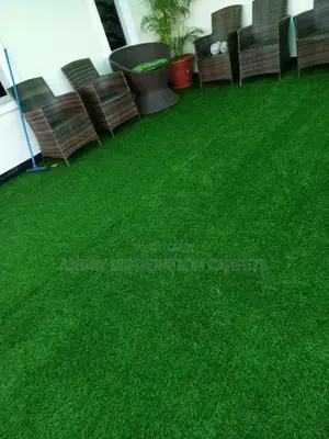 Grass Carpets (Artificial Turf)