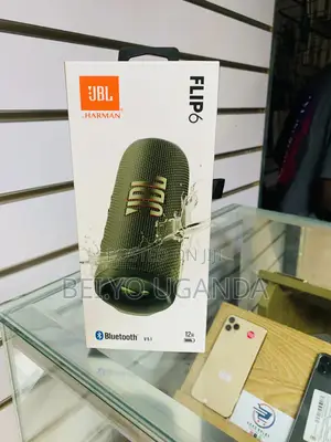 JBL Flip 6