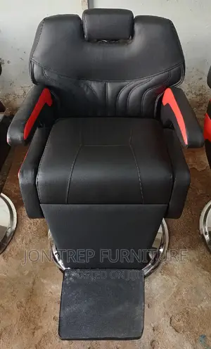 Babar Saloon Chair