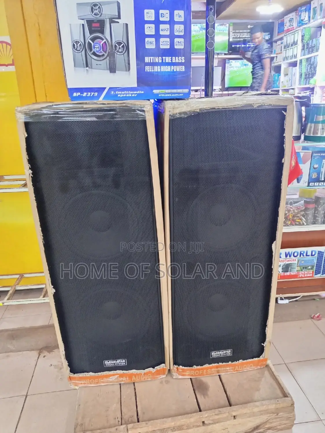 Globalstar Full Range Speaker