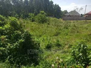 200ft by 100ft Plot Namere Mpererwe