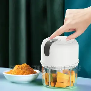Rechargeable Mini Stainless Steel Electric Chopper Processor