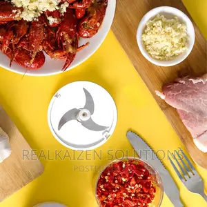 Rechargeable Mini Stainless Steel Electric Chopper Processor