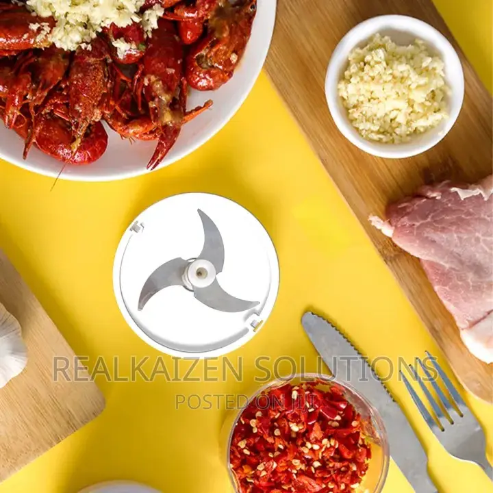Rechargeable Mini Stainless Steel Electric Chopper Processor