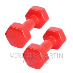 A Pair Vinyl Gym Fitness Dumbbells