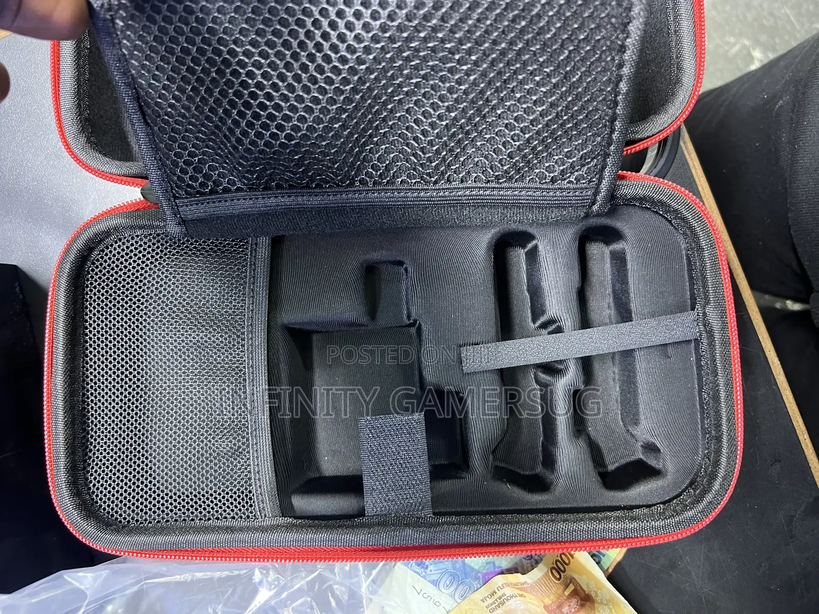 Nintendo Bag