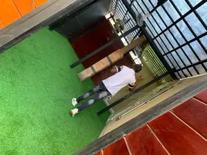 Grass Carpets