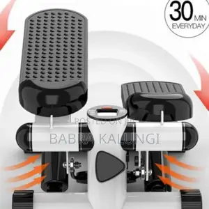 Mini Gym Stepper Machine