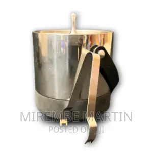 Stainless Steel Ice Pot