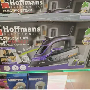 Hoffman's Steam Iron