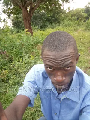 Accountant