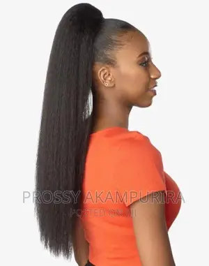 Hair Ponytails and Extensions