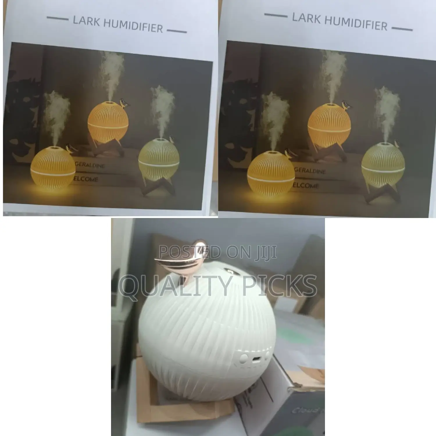 Color Lark Humidifier