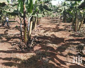 16.3 Decimals Located at Sonde for Sale